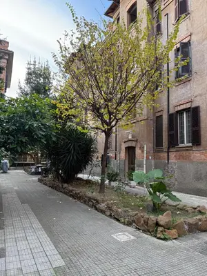 a tree on the side of a street next to a building at La casa di Giulia in Rome