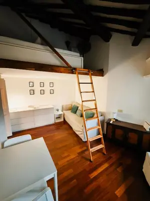 a living room with a ladder in the middle of a room at Piccolo Attico in Rome