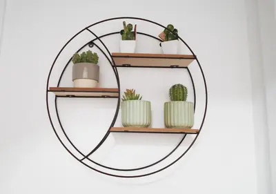 a circle shelf with cactuses and potted plants at Thery House - Tiburtina Apartment in Rome