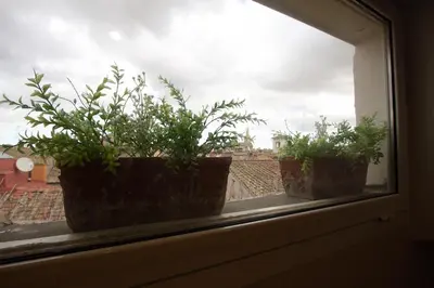 two potted plants sitting on a window sill at Il Nido sui Tetti di Piazza Navona in Rome