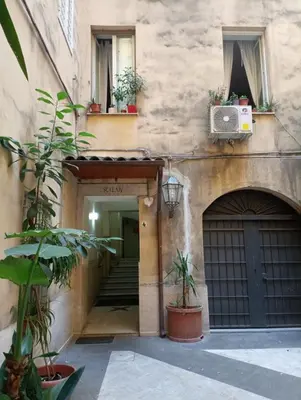an entrance to a building with potted plants at Auror house in Rome