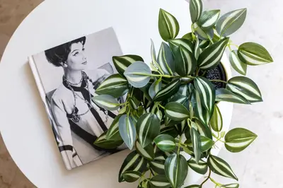 a plant on a table next to a picture of a woman at iFlat Vatican Bright & Comfortable Apartment in Rome