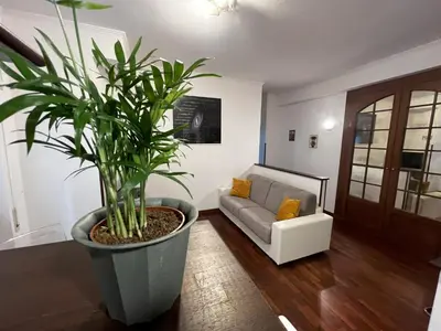 a living room with a couch and a potted plant at Moonlight Vatican by ACS HOLIDAYS in Rome