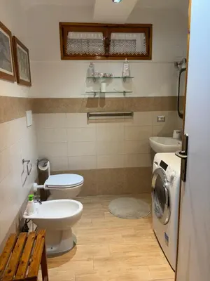 a bathroom with a toilet sink and a washing machine at Appia apartment in Rome