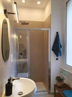 a bathroom with a shower and a white sink at Quiet and cosy central apartment in Rome