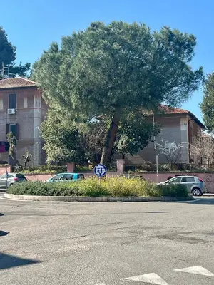 a stop sign in a parking lot with a tree at Al lotto 27 Garbatella Storica in Rome