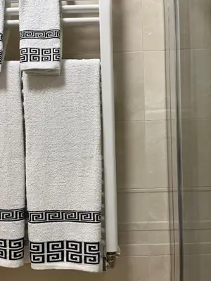 a bathroom with white towels and a shower at Daniela Luxury Apartment in Rome