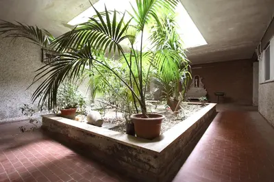 a row of potted plants in a room at Margherita Holiday Home in Rome