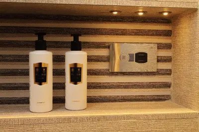 a shelf with two bottles of soap and a box at Velvet Inn in Rome