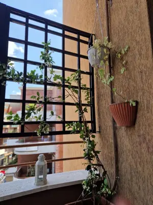 a view of a window with plants on a wall at Il Sogno Romano in Rome