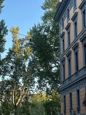 a street light next to a building and a tree at Cenci Rome Centro Storico in Rome