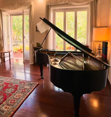 a black grand piano in a living room at Luxury Home Museum - Roma - RAI - Stadio Olimpico - Vaticano - Musei Vaticani - Centro - Clodio in Rome