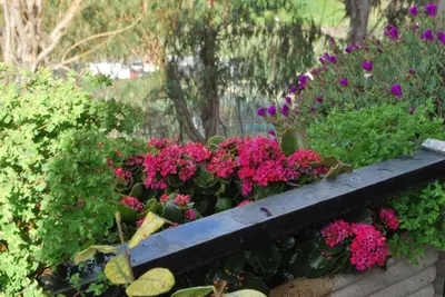 a garden with pink flowers and green plants at Appartamento Gemelli - Val Favara Apartment in Rome