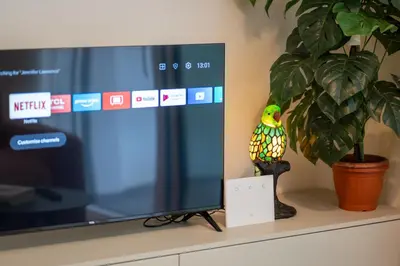 a bird sitting on a stand next to a television at Luxury Sweet Home Labicana in Rome
