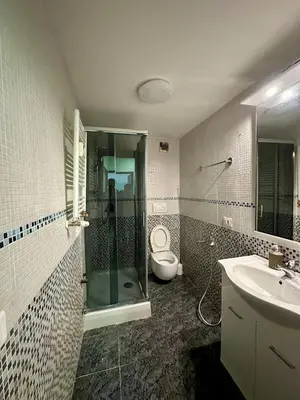 a bathroom with a shower and a toilet and a sink at Bellaroma Astréa apartment in Rome