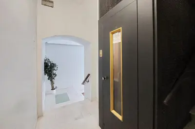 a black door in a hallway with a plant at Vatican apartment Leone IV - MrLucas in Rome
