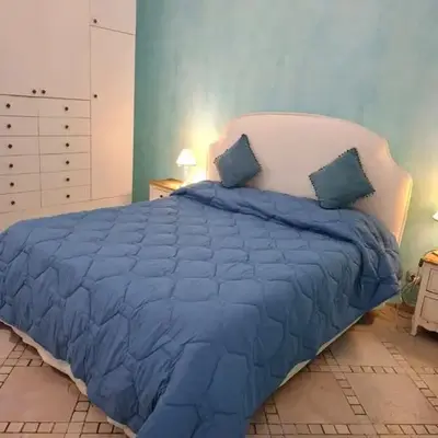 Le chat bleu