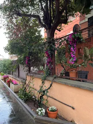 a tree on the side of a building with flowers at Villa dei fiori in Rome