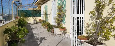 a greenhouse with potted plants on a patio at L' attichetto in Rome