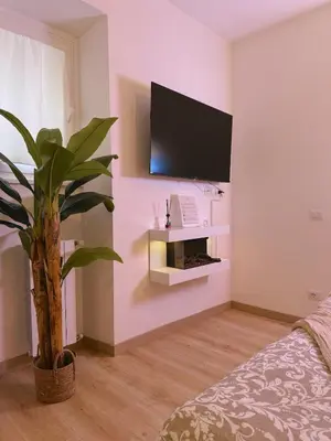 a living room with a plant and a tv on a wall at Vacanze Romane House in Rome