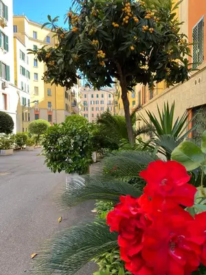 a red flower on the side of a street at San Giovanni Living House 2 in Rome