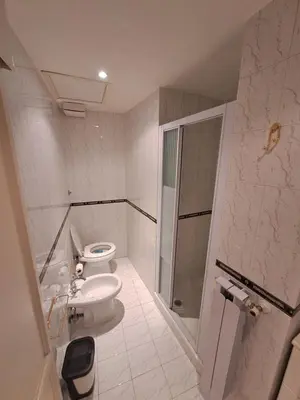 a white bathroom with a toilet and a shower at Home Piazza Dell'Orologio in Rome