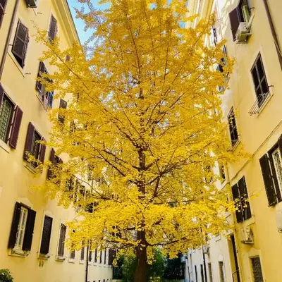 Il Cortile del 900