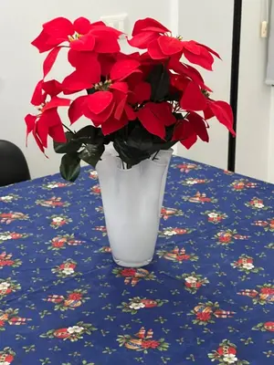 a vase filled with red flowers sitting on a table at Casa Vale in Rome