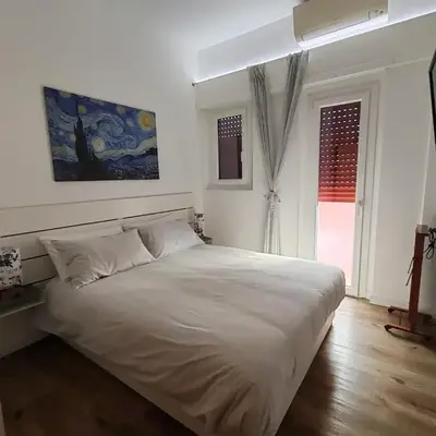 Domus MT481