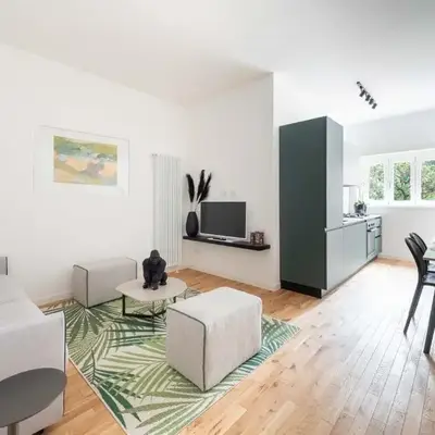 Domus 50