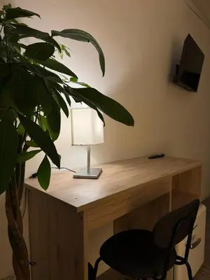 a desk with a lamp and a chair next to a plant at Residenza Piramide in Rome