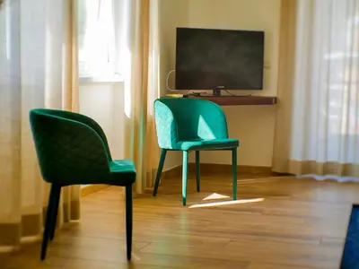 two green chairs sitting in a room with a tv at Vatican Views Elegant Spacious e Unforgettable in Rome