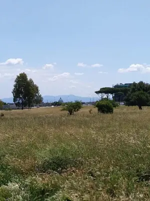 a field of grass with trees in the distance at Casa Carlo in Rome