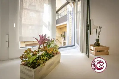 a room with a large window with plants on the floor at La Torre Della Scimmia nido romantico a Piazza Navona in Rome
