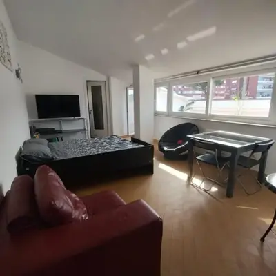 Il Mulo Volante - Panoramico attico con terrazzo a Trastevere