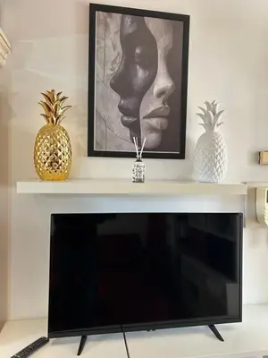 a flat screen tv sitting on top of a fireplace at Along the Tiber Apartment in Rome
