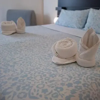 Luma rooms