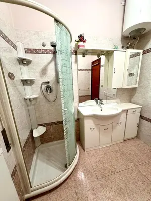 a bathroom with a shower and a sink and a mirror at Millys Apartment Rome Centre 