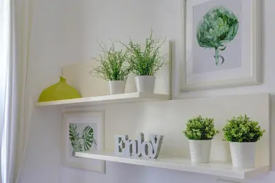 three shelves with potted plants on a wall at Colosseo - MecenStudio - Home and More in Rome