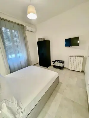 a bedroom with a large white bed and a tv at Palmira house in Rome
