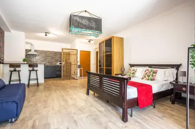 a large room with a bed and a kitchen at Eco Retreat -Sauna & Garden in Rome