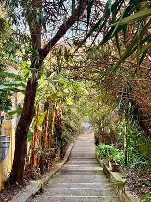a wooden path with a tree in the middle at Vatican Staircase in Rome