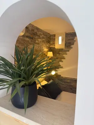 a plant sitting on a table in a room at Vatican Staircase in Rome
