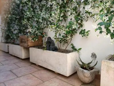 a statue of a gorilla sitting in a concrete planter at A casa di Cicca in Rome