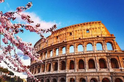 a tower with pink flowers in front of the coliseum at A casa di Cicca in Rome