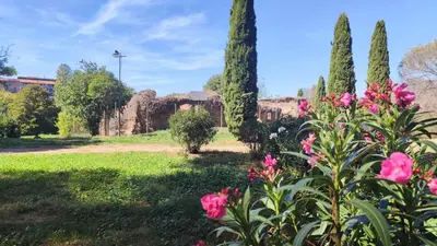 a garden with pink flowers and trees at Rome Cozy Room in Rome