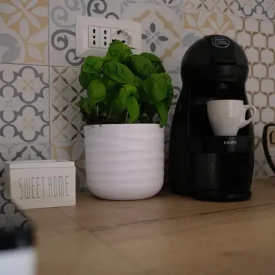 a plant in a white pot next to a coffee maker at Augusto's House b&b in Rome