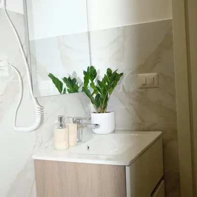 a bathroom sink with a potted plant on it at Augusto's House b&b in Rome