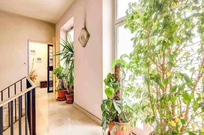 a hallway with potted plants and a large window at Feffyhouse in Rome