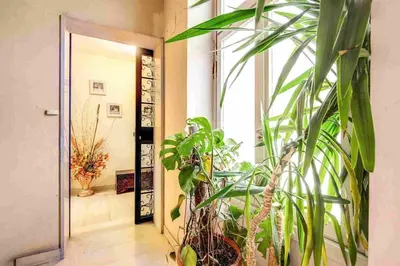 a hallway with potted plants in front of a door at Feffyhouse in Rome